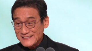 国产toupai
